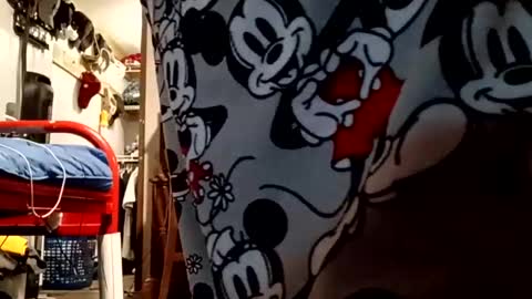 Snapshot of muddflapz chatting on 10/06/25, 10:56 muddflapz online show from 10/06/25, 10:56