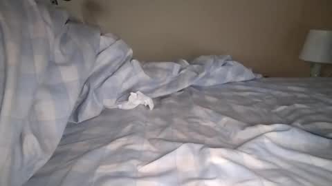 Laly online show from 01/06/25, 08:03