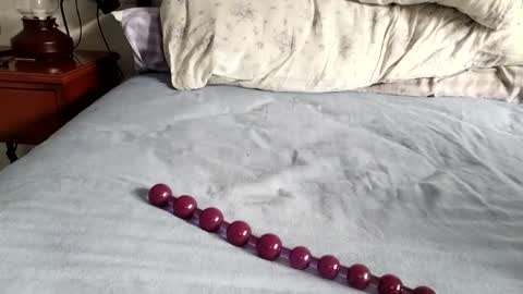 Snapshot of mulato44 chatting on 11/24/25, 08:36 Laly online show from 11/24/25, 08:36