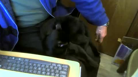 muller520 online show from 01/11/25, 10:19