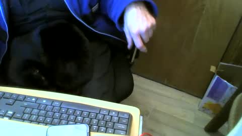 muller520 online show from 01/15/25, 05:37