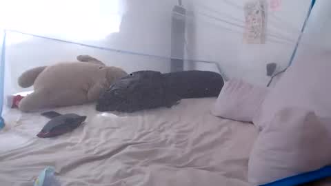  online show from 06/28/26, 02:23
