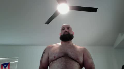 Bearded online show from 05/11/26, 04:04