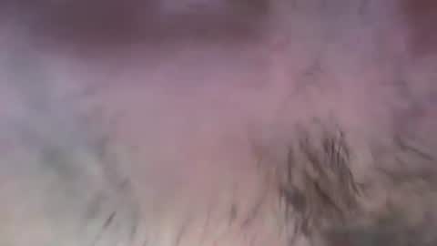 musclehair3 online show from 07/13/26, 08:11