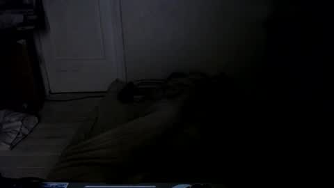 Snapshot of muse_online chatting on 12/17/24, 04:23 Muse Ali online show from 12/17/24, 04:23