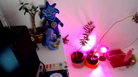 Snapshot of muse_online chatting on 12/31/24, 02:14 Muse Ali online show from 12/31/24, 02:14