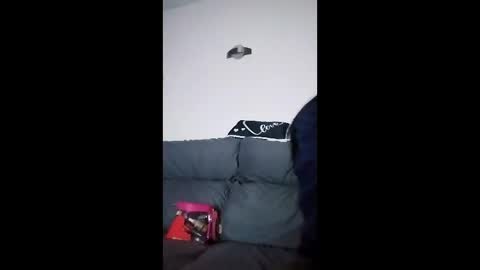 mweed95 online show from 12/04/25, 05:06