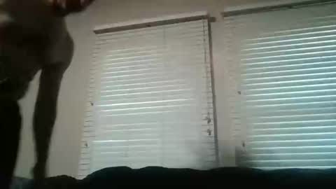 vienna online show from 11/16/25, 10:26