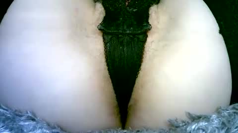 Snapshot of my_tightholes chatting on 02/02/26, 06:50 my_tightholes online show from 02/02/26, 06:50
