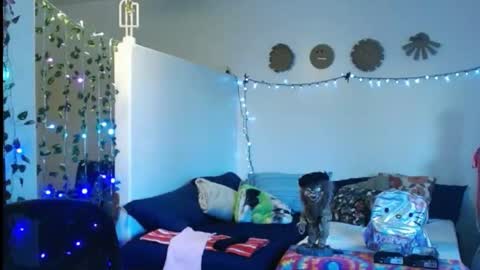 LA MARIPOSA DE MARICOPA online show from 02/22/25, 01:00