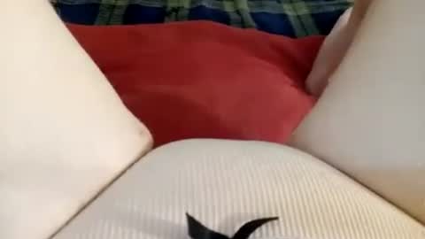 Kitty online show from 06/27/26, 12:22