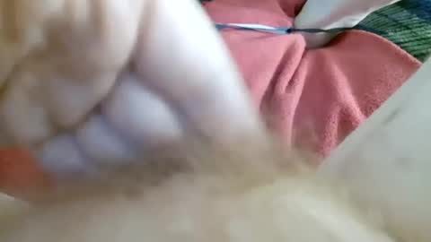 Kitty online show from 07/02/26, 11:16