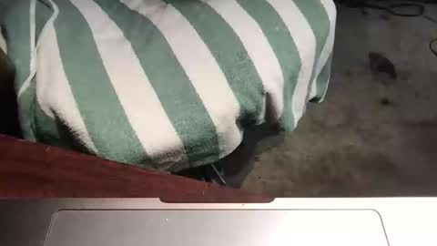 mythickness online show from 01/15/25, 01:56