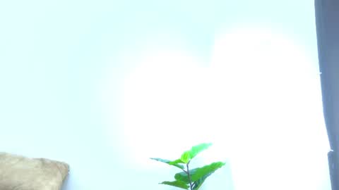 Nahomi online show from 07/22/26, 12:41