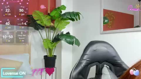 N A I A R A online show from 06/15/26, 08:33
