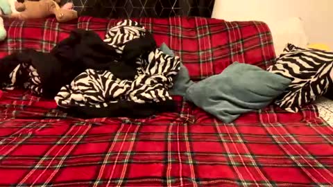 Snapshot of naked_for_fun chatting on 12/15/24, 05:31 unable nkd life online show from 12/15/24, 05:31