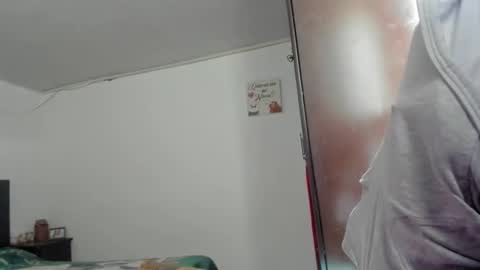 Snapshot of namibecker chatting on 12/14/24, 04:52 Nami online show from 12/14/24, 04:52