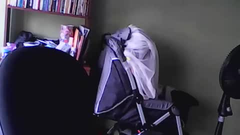 Snapshot of nana_666_ chatting on 11/17/25, 09:20 nana_666_ online show from 11/17/25, 09:20