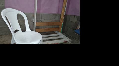 bellas2012 online show from 01/19/25, 05:39