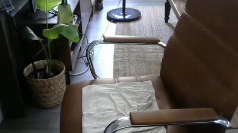 nareth338 online show from 09/19/25, 08:42