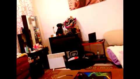 natali online show from 12/28/24, 08:58