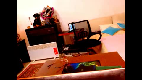 natali online show from 01/05/25, 09:15