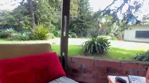 NatashaDiamond online show from 06/23/26, 01:42