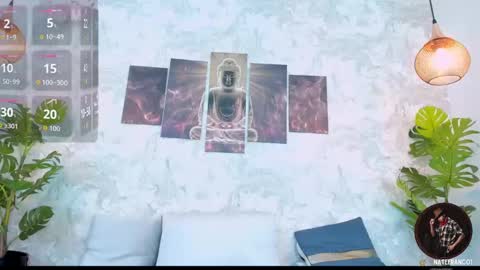 Snapshot of nate_franco chatting on 11/11/25, 04:34 Nate Franco online show from 11/11/25, 04:34