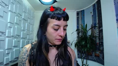 Kitten online show from 12/26/24, 02:59