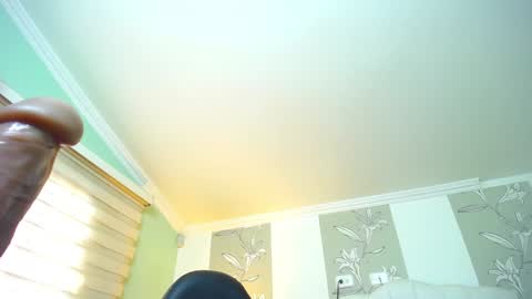 Kitten online show from 01/08/25, 02:03