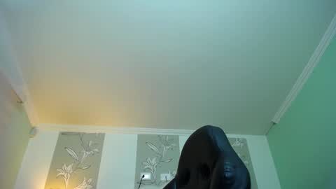 Kitten online show from 01/12/25, 11:28