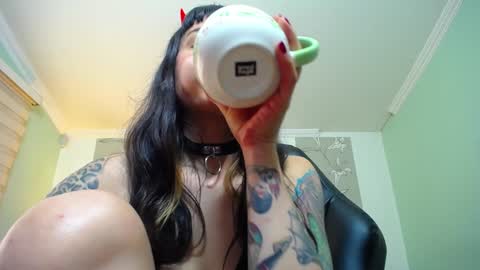 Kitten online show from 01/12/25, 02:30