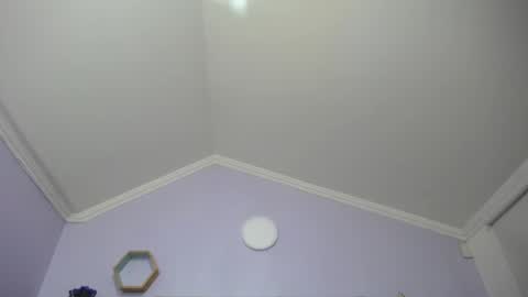 Kitten online show from 01/25/25, 11:34