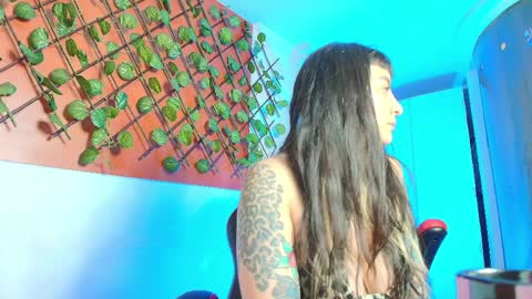 Kitten online show from 04/06/26, 11:22