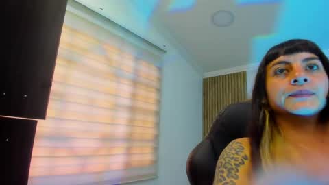 Kitten online show from 05/07/26, 11:04