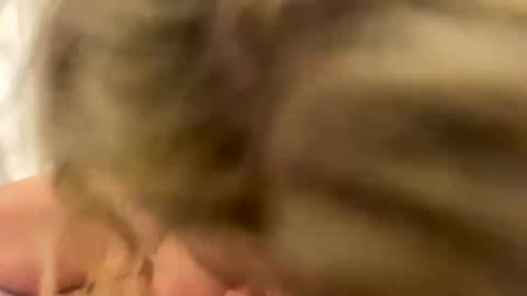 Snapshot of naughtycouple2026 chatting on 04/24/26, 02:03 Naughtycouple2026 online show from 04/24/26, 02:03