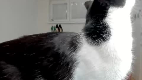 Snapshot of naughtysabine1 chatting on 02/06/25, 09:53 naughtysabine1 online show from 02/06/25, 09:53