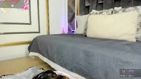    online show from 06/22/26, 11:29