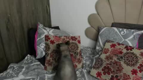 Snapshot of neeii chatting on 11/11/25, 01:16 Nei turn green online show from 11/11/25, 01:16