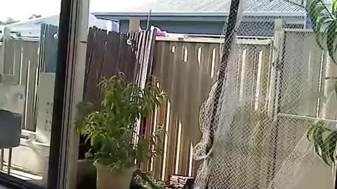 Snapshot of nekkminuttnekkminutt chatting on 12/03/24, 08:27 NECK online show from 12/03/24, 08:27