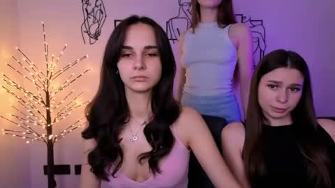Meow online show from 07/12/26, 09:44