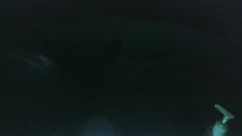 Snapshot of nelsonbucara chatting on 03/08/25, 10:00 nelsonbucara online show from 03/08/25, 10:00