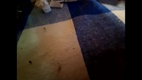 Snapshot of nembo1974 chatting on 11/01/25, 10:23 boo online show from 11/01/25, 10:23