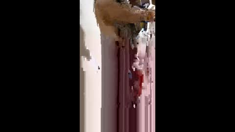 Snapshot of nermigarciaaguilar314 chatting on 06/04/26, 11:55 nermigarciaaguilar314 online show from 06/04/26, 11:55