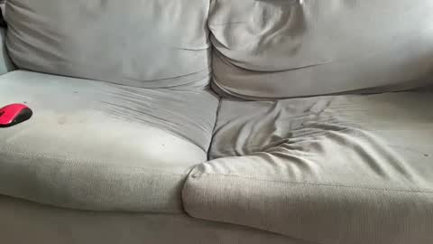 Snapshot of nhcam chatting on 12/07/24, 11:51 NH online show from 12/07/24, 11:51