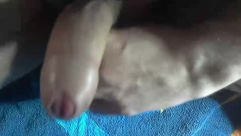 Snapshot of ni983 chatting on 12/19/24, 03:08 ni983 online show from 12/19/24, 03:08