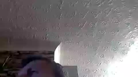 nice_cock8080 online show from 07/04/26, 11:55