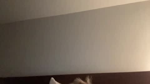 Snapshot of nice_gentle_naughty chatting on 12/13/24, 11:34 Nice Gentle Naughty online show from 12/13/24, 11:34