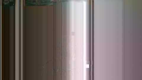 Snapshot of nick1213n chatting on 03/06/25, 03:56 nick1213n online show from 03/06/25, 03:56