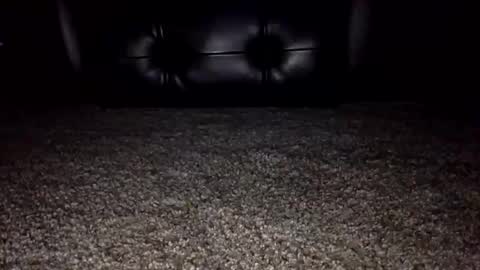 nickk2291 online show from 10/06/25, 01:25